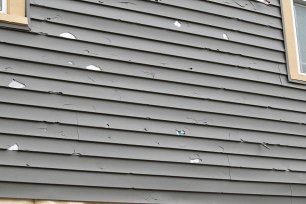 Best Residential Junk Removal  in East Williston, NY